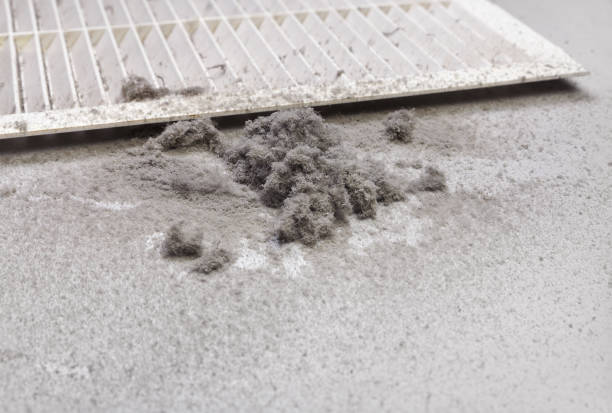 Best HVAC Duct Inspection Services  in Pleasant Hill, PA